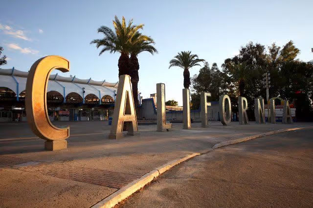 Jason_malmberg_designer_california California sign in front of a palm tree.